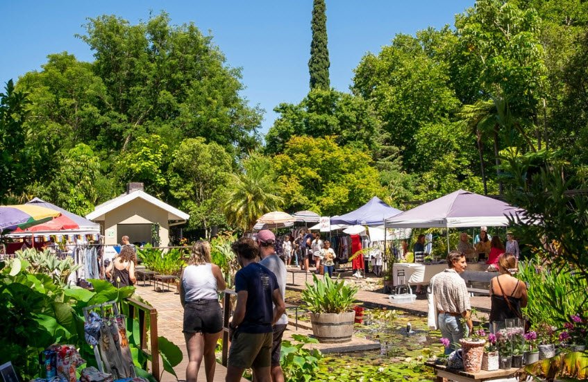 Stellenbosch University Botanical Garden, South Africa